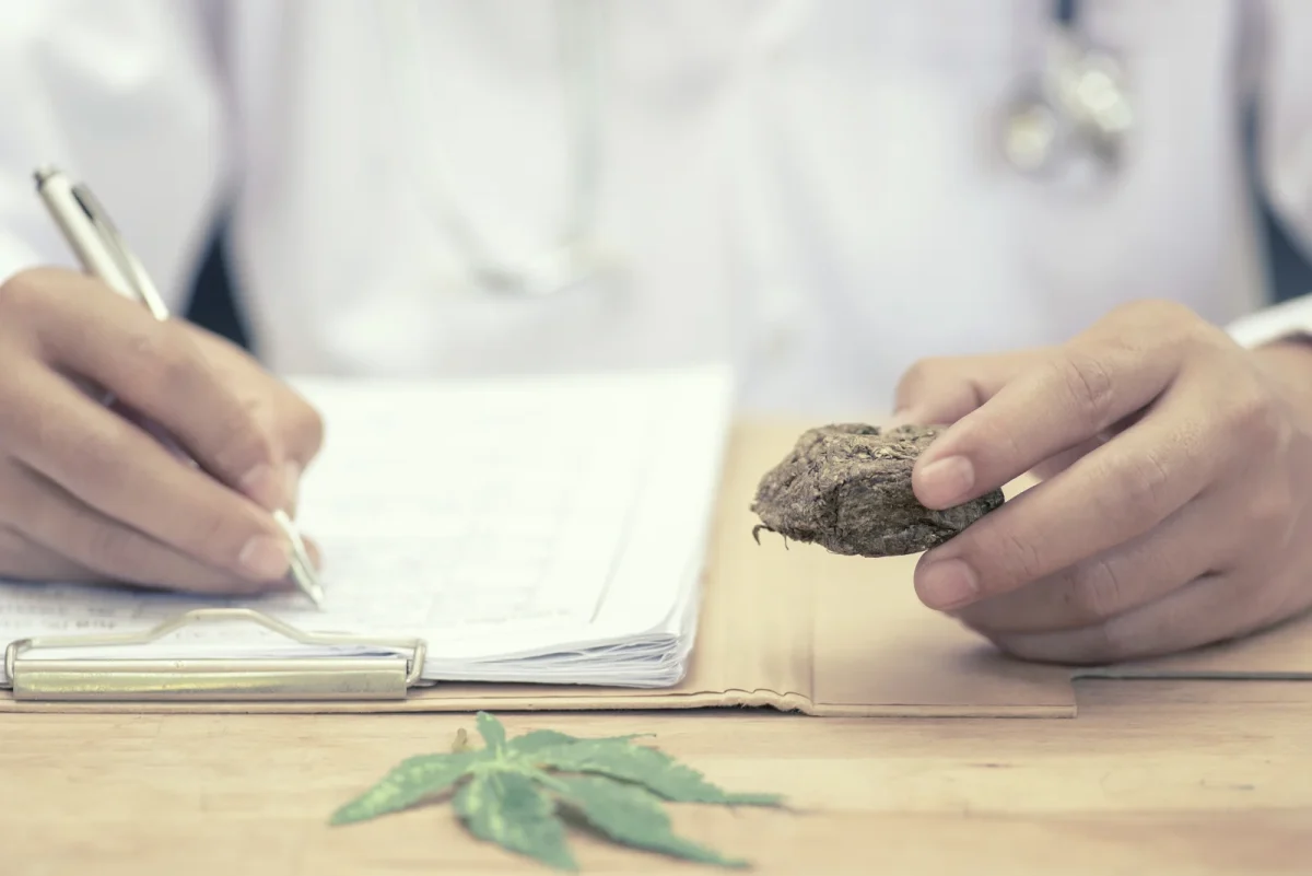 A close-up of a doctor’s hands—one holding a pen and writing on a clipboard, the other holding a cannabis sample—illustrating the integration of medical expertise in Cannabis consultation sessions.