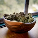 Cannabis Plant Growth Regulators: Benefits, Risks, and Best Practices