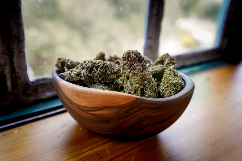 A wooden bowl filled with harvested cannabis buds placed near a window, illustrating uniform size and structure typically achieved through cannabis plant growth regulators during production.
