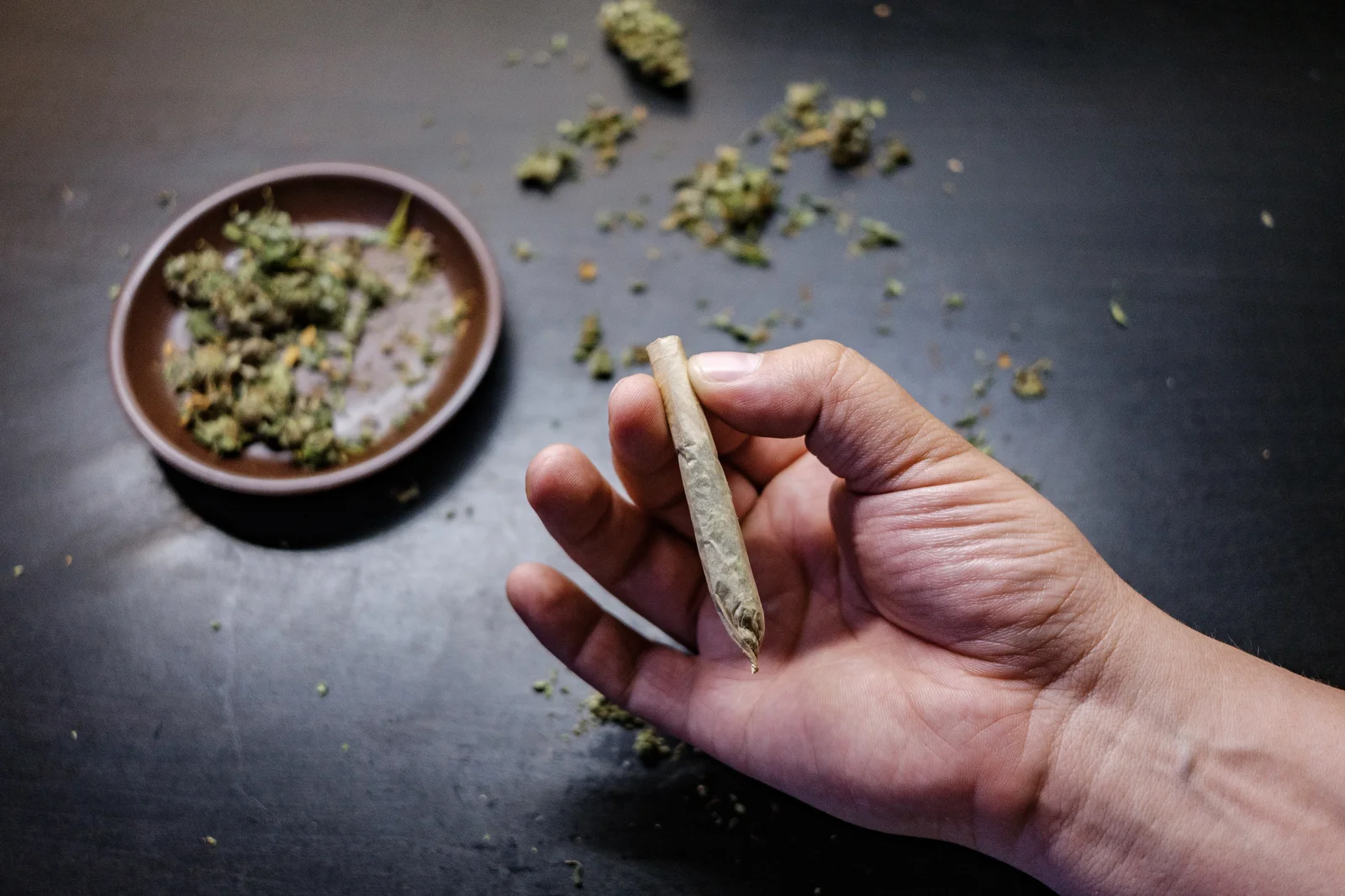 A hand holding a rolled cannabis joint near a table with loose marijuana and a trimming bowl. The image reflects the final product outcome of operations that require a commercial cannabis growing license, underscoring regulatory compliance from cultivation to consumption.