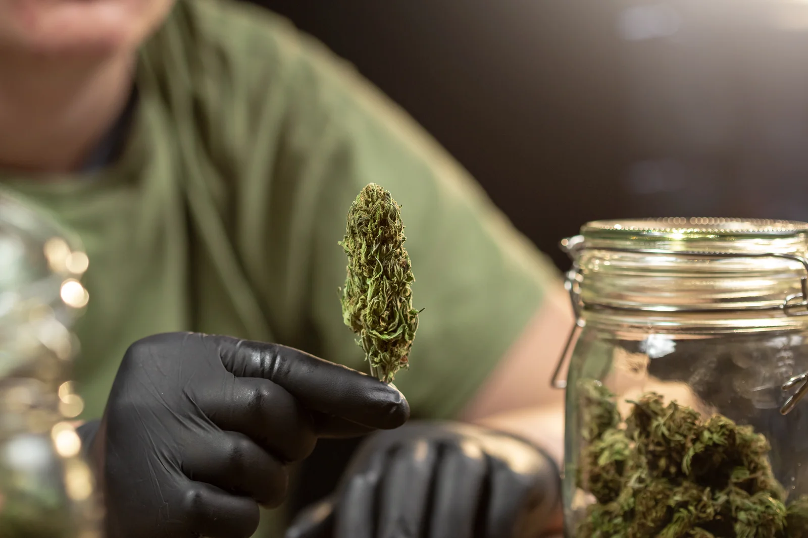 A person wearing black gloves holds a single dried cannabis flower above a glass jar filled with similar buds, highlighting the role of Cannabis inventory management software in maintaining quality control and traceability.