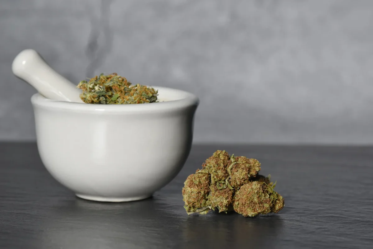 Dry cannabis buds placed both inside and next to a white ceramic mortar and pestle, set against a sleek gray backdrop. This minimalist setup suggests the merging of traditional herbal wellness with modern quality standards found at the Top 10 cannabis Dispensaries in New York State.