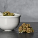 Top 10 Cannabis Dispensaries in New York State (2025 Edition)