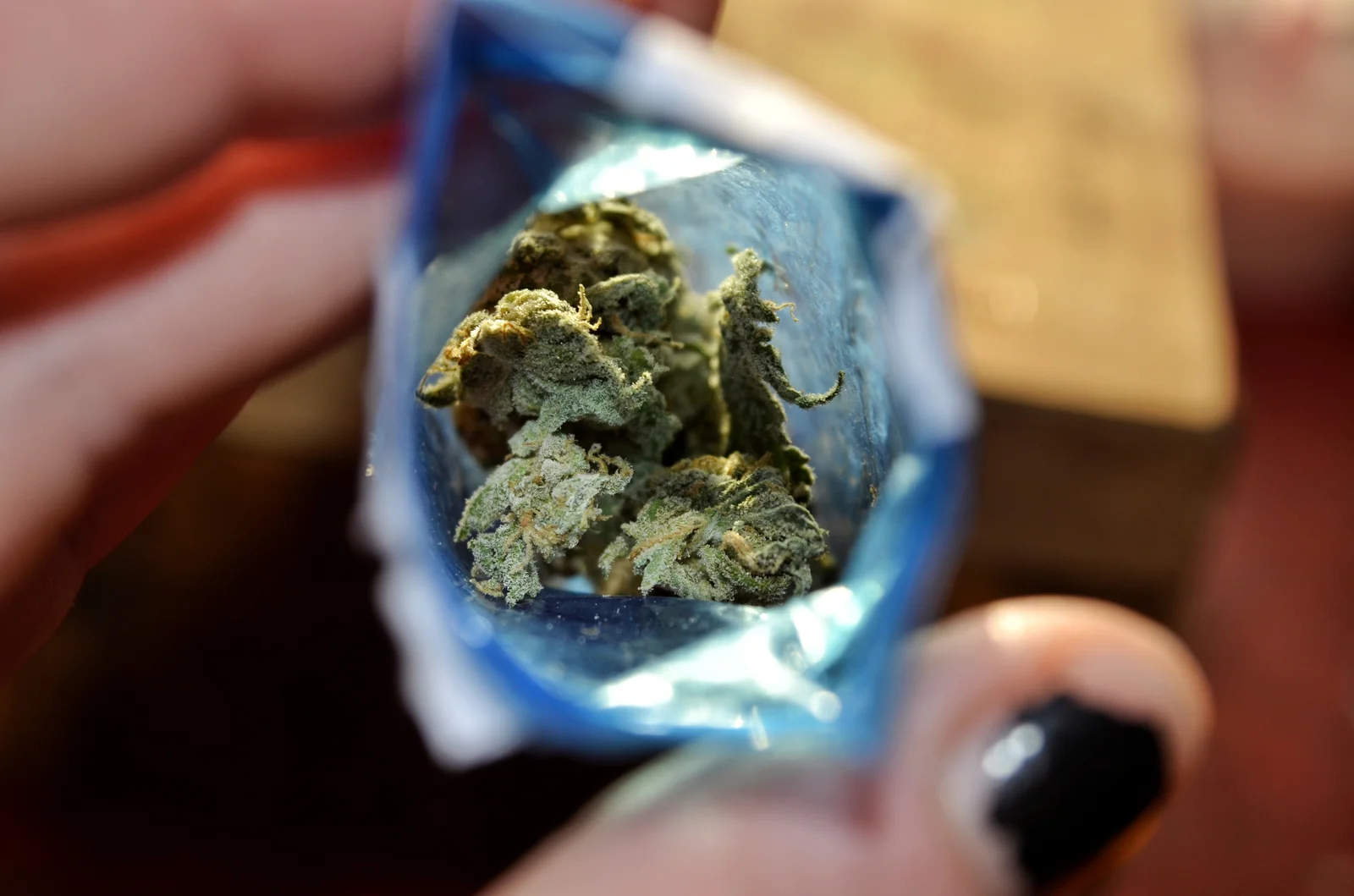 Close-up view of cannabis buds inside a package, showcasing the importance of Cannabis Supply Chain Software for product tracking and compliance.