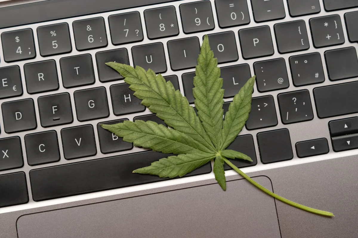 A cannabis leaf rests on a laptop keyboard, symbolizing the integration of technology and agriculture through Cannabis Track and Trace Software for digital compliance.