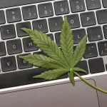Ensuring Transparency: Best Cannabis Track and Trace Software Solutions