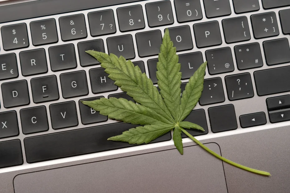 A cannabis leaf rests on a laptop keyboard, symbolizing the integration of technology and agriculture through Cannabis Track and Trace Software for digital compliance.