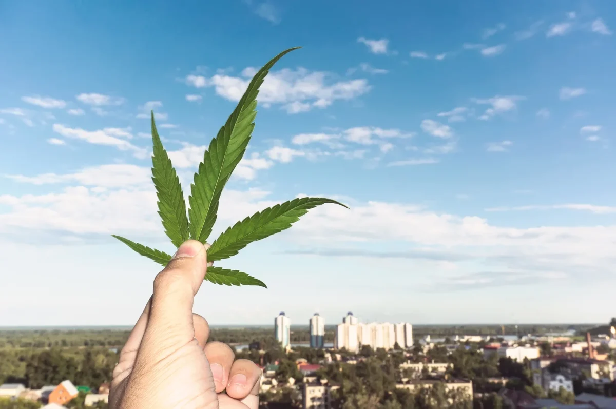 A hand holds a bright green cannabis leaf against a city skyline under a vibrant blue sky. The image bridges urban culture and natural wellness, echoing the innovation and accessibility found at the Top 10 cannabis Dispensaries in New Jersey.