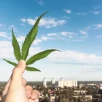 Top 10 Cannabis Dispensaries in New Jersey (2025 Edition)