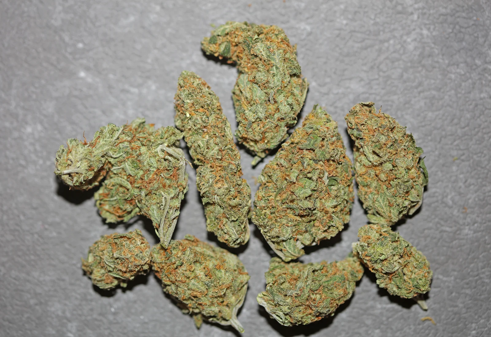 Top view of trimmed cannabis buds on a gray textured surface, showcasing strain inventory and quality control by a cannabis software company.