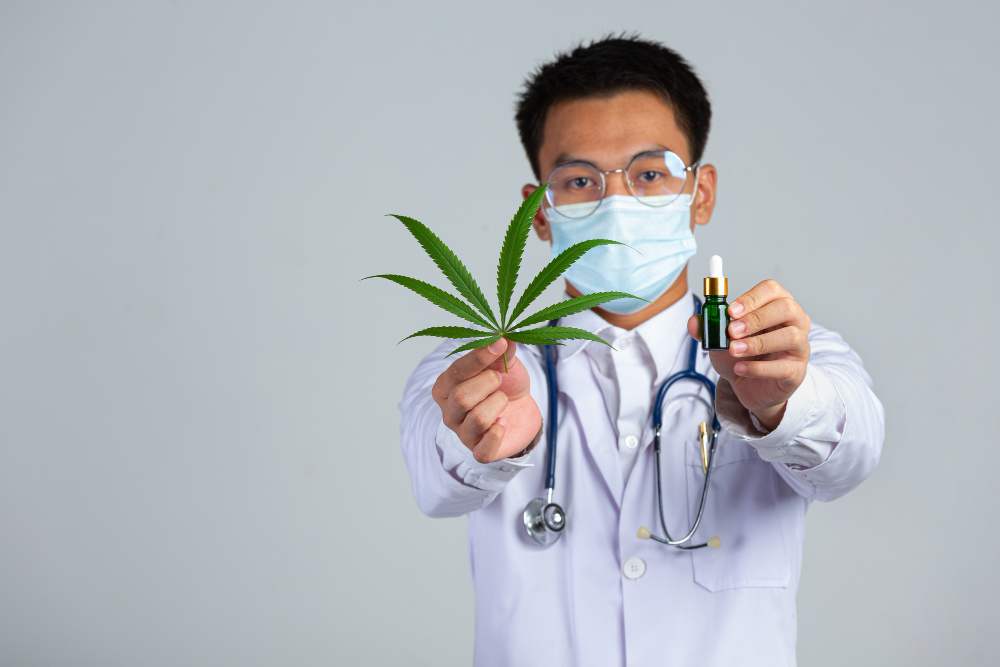 Ein Arzt präsentiert eine Cannabispflanze und ein Ölfläschchen als Teil eines Qualitätssicher Programms für medizinische Cannabisprodukte.