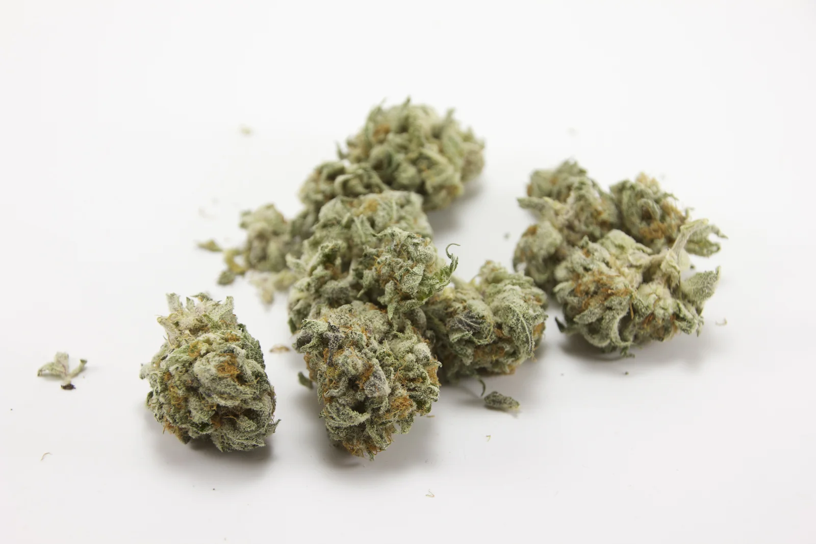 Dried cannabis buds scattered on a white surface, illustrating product form and quality standards under current cannabis regulations.