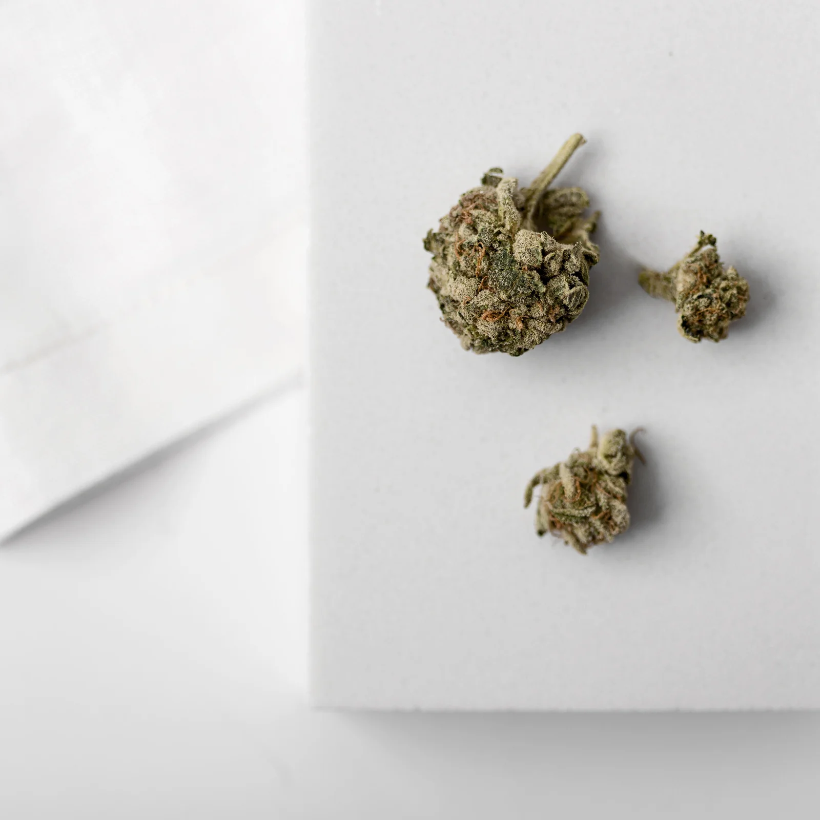 Three dried cannabis buds on a white surface, showcasing the harvested form of industrial hemp used for commercial, medical, or wellness applications.