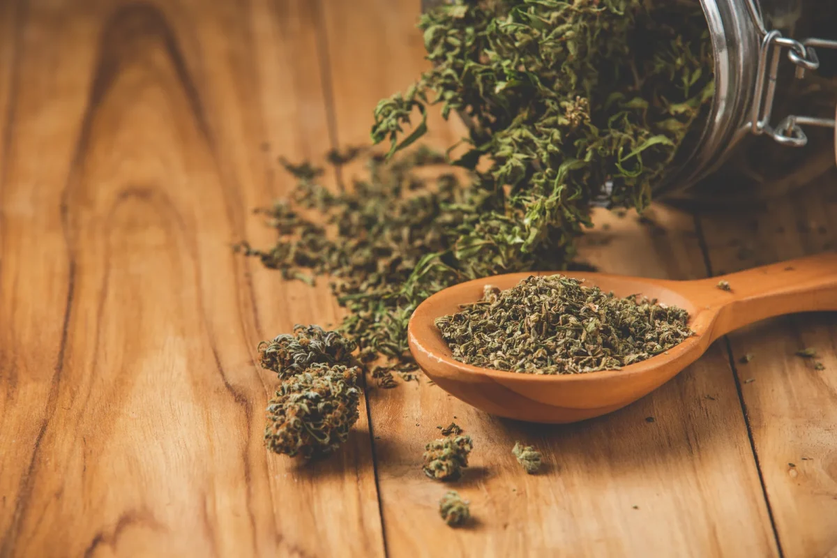 A wooden spoon filled with finely ground dry cannabis sits next to loose cannabis buds and scattered plant material on a wooden table.
