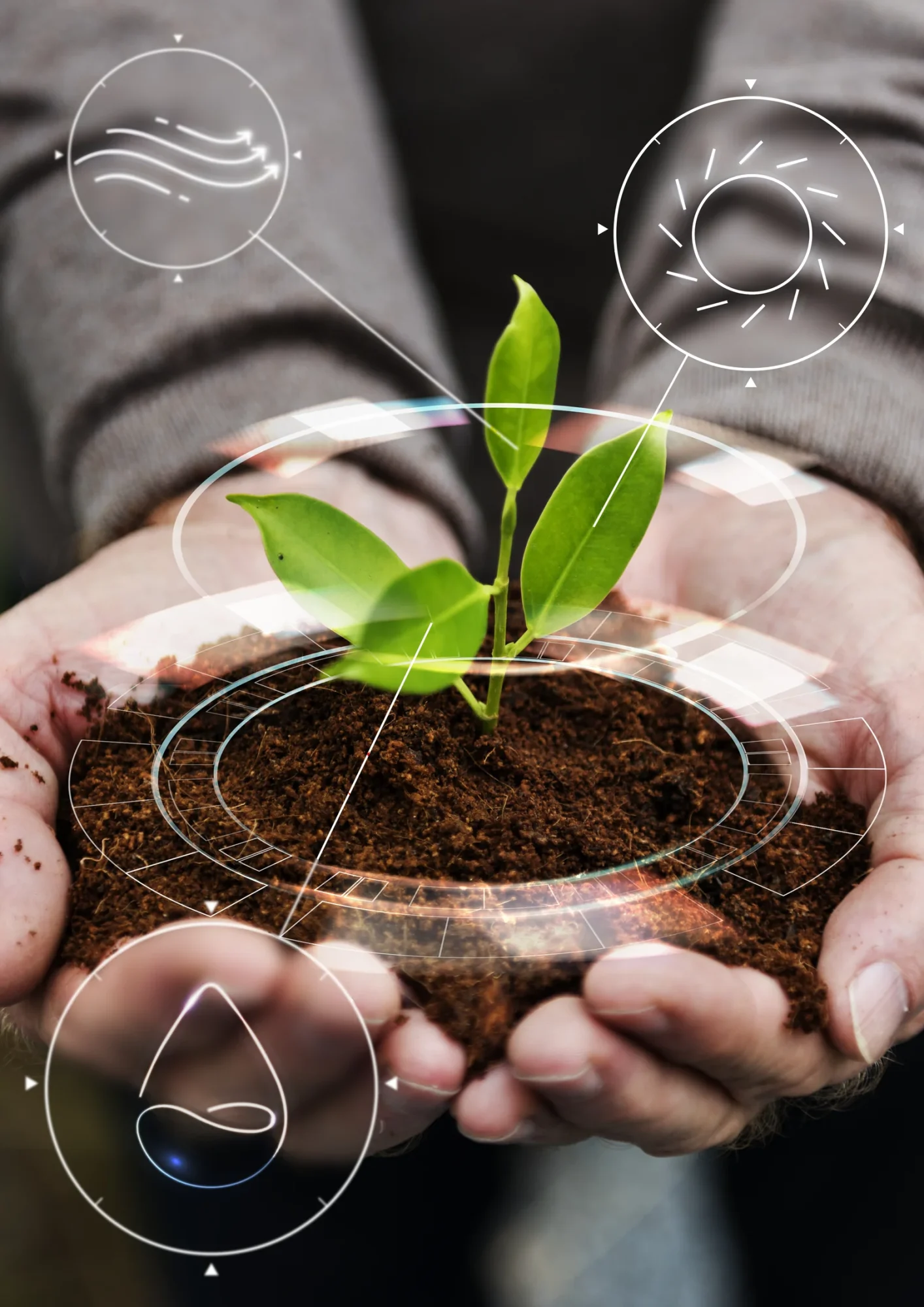 A person holding soil with a young green plant, surrounded by digital graphics representing environmental controls like light, humidity, and airflow—core components to understand when exploring how to build a cannabis grow room with precision agriculture and IoT-based systems.