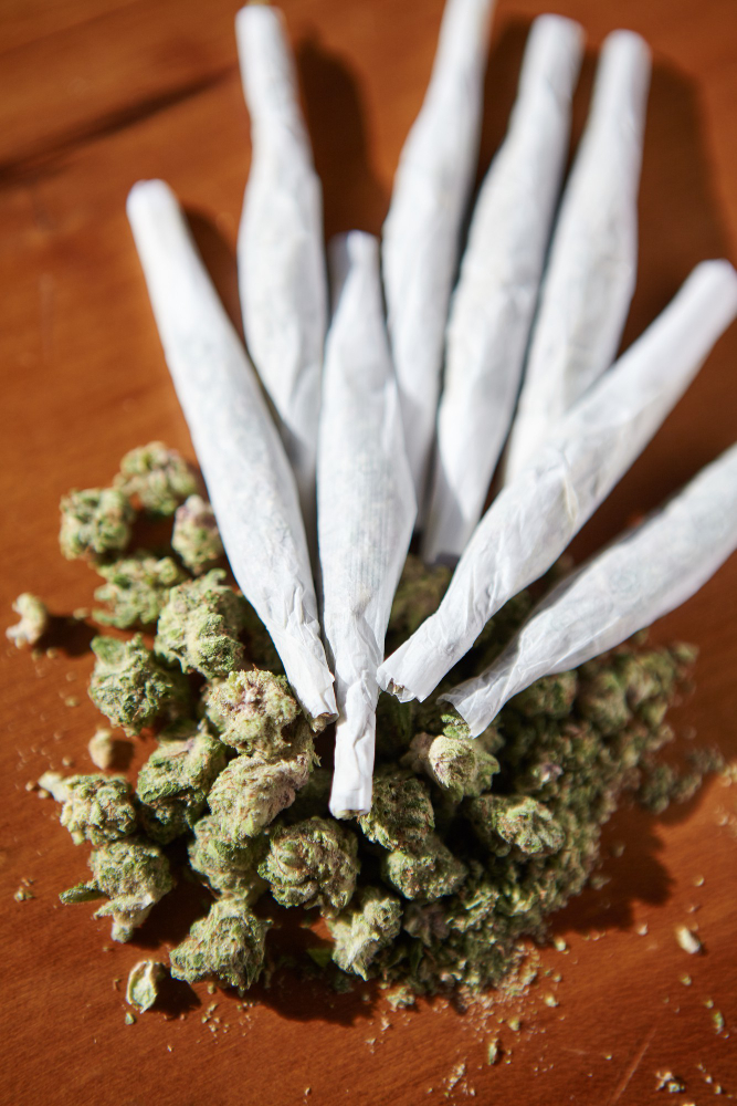 A collection of neatly rolled joints arranged in a fan shape on top of dense green cannabis buds on a wooden surface, showcasing a premium selection from the Canadian Cannabis Supply.