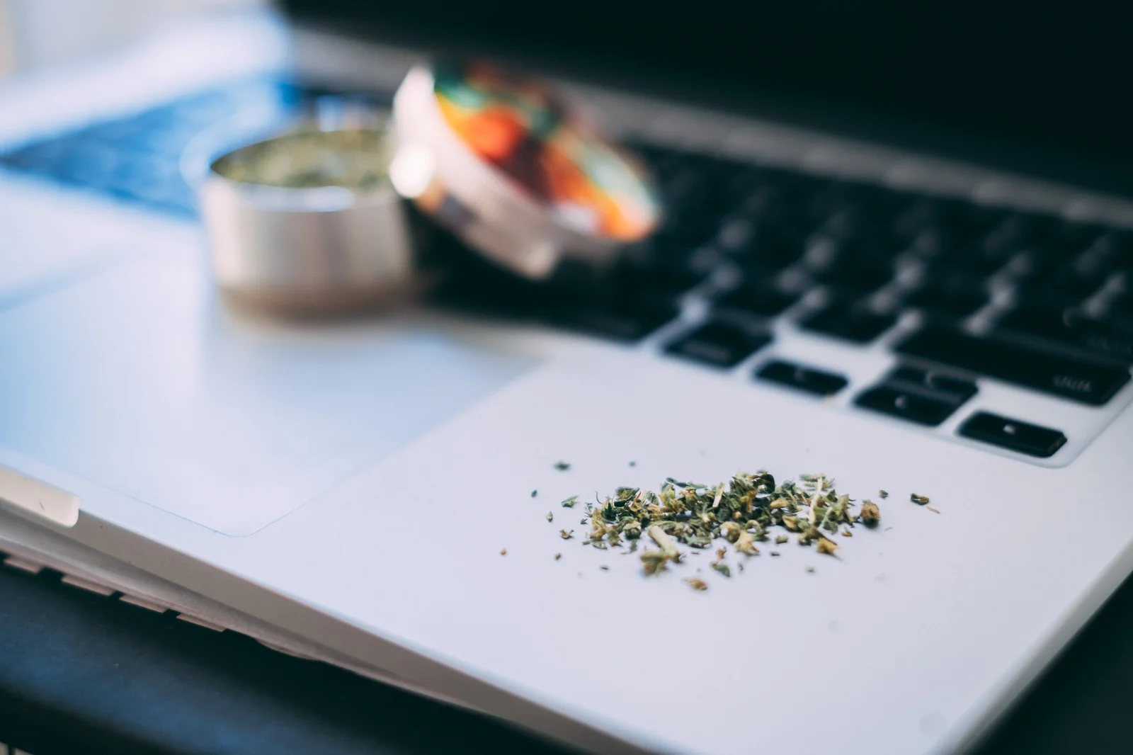 Ground cannabis spread on a laptop touchpad next to a metal grinder, symbolizing digital tools and awareness around managing pH for cannabis.