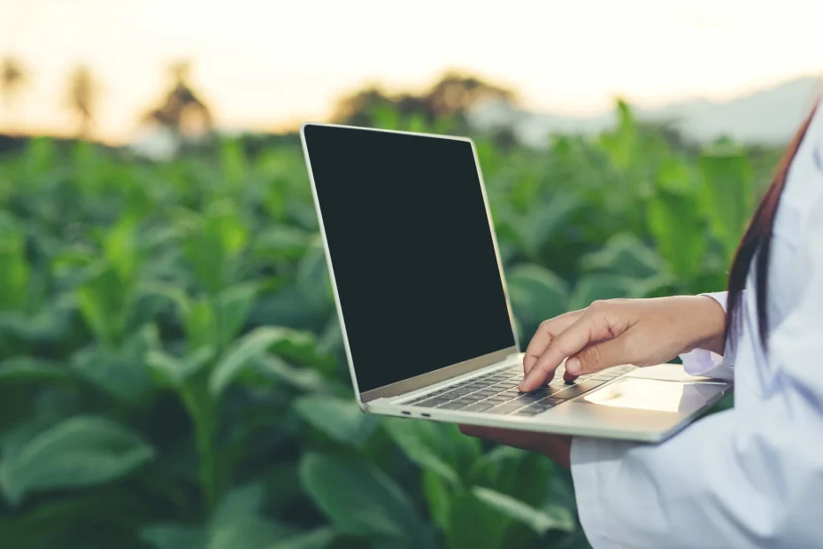 Researcher in a green crop field using a laptop to analyze data, representing a digital approach to tracking stages like how do I know when cannabis is ready to harvest