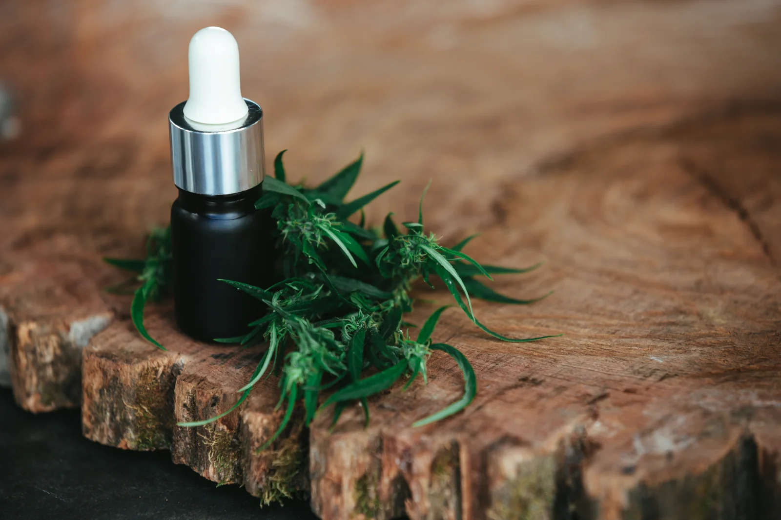 A black dropper bottle of hemp oil placed next to fresh cannabis buds on a rustic wooden surface — representing one of the final products after answering how long does it take to grow cannabis indoors.