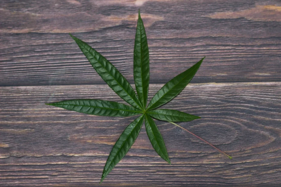 A single green leaf of cannabis laid flat on a wooden surface, highlighting its natural structure and pointed edges.