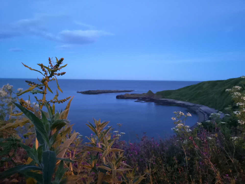 Coastal view of St. Vincent & the Grenadines with tropical vegetation, representing the ideal climate for those seeking how to get a cannabis license in St. Vincent