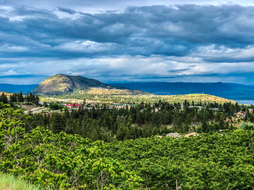 Scenic landscape view of St. Vincent showing lush green hills and rural communities where entrepreneurs can learn how to get a cannabis license in St. Vincent