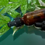 Beyond the Smoke: Unveiling the Potency and Promise of Cannabis Tinctures in Modern Wellness