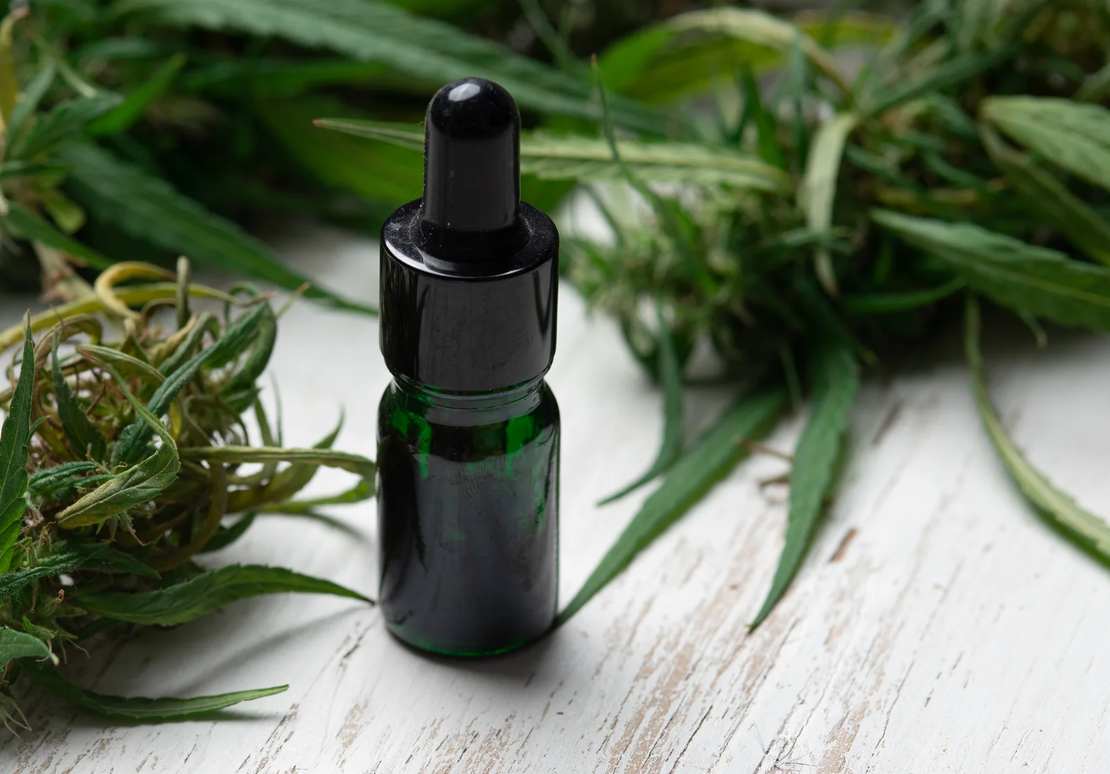 A dark glass bottle surrounded by hemp leaves on a wooden table, representing the plant-based source of CBD oil benefits.