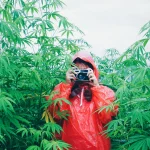 High Adventures: Exploring the World’s Most Enticing Cannabis Tourism Destinations