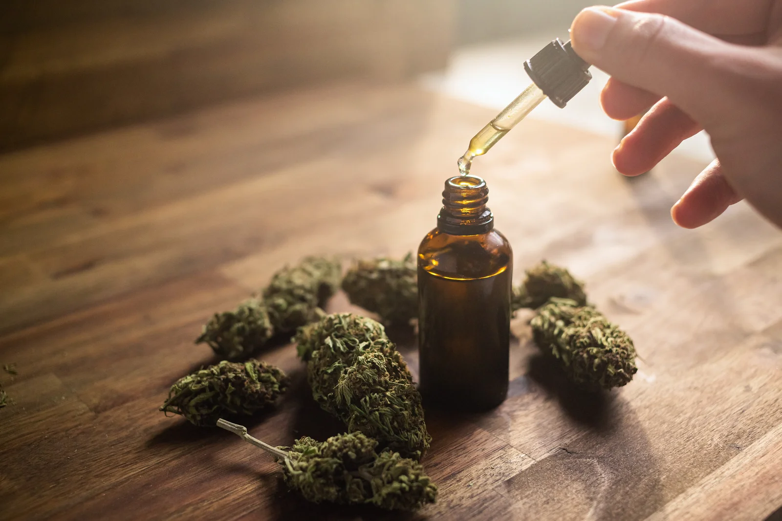 Hand holding a dropper over a small glass bottle surrounded by dried buds, illustrating cannabis tinctures.
