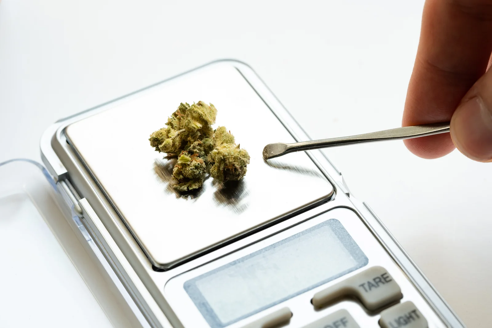 Cannabis buds being measured on a digital balance with a metal scoop, illustrating accurate scales for cannabis in laboratory or home use.