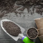 Unlock the Secret to Thriving Greenery: Discover the Best Organic Fertilizer for Seedlings