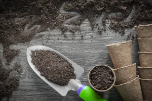 A gardening trowel filled with soil beside biodegradable peat pots, illustrating preparation steps for using the best organic fertilizer for seedlings.