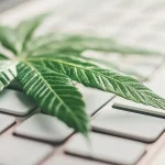 ERP Modernization: How Upgrading Your System Drives Digital Transformation and Profitability