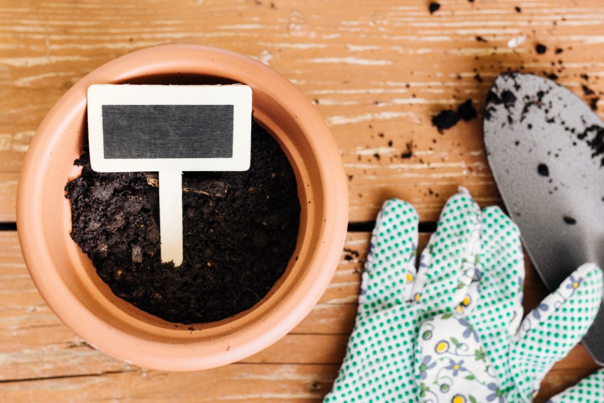 A top-down view of a clay pot filled with soil, gardening gloves, and a trowel, representing the preparation and soil mixing required for the best organic fertilizer for seedlings.