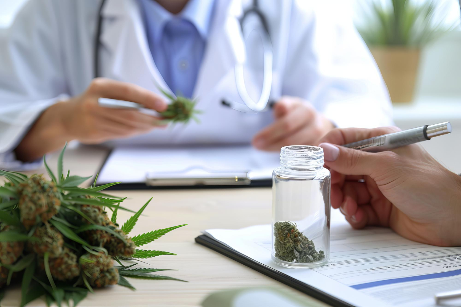 Medical professional reviewing cannabis samples and documentation during cannabis compliance consulting for testing and legal standards.
