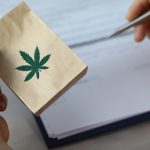 Cannabis Conventions: Where Innovation Meets Culture in the Heart of the Green Revolution