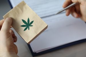 Hands holding cannabis-branded paper packet