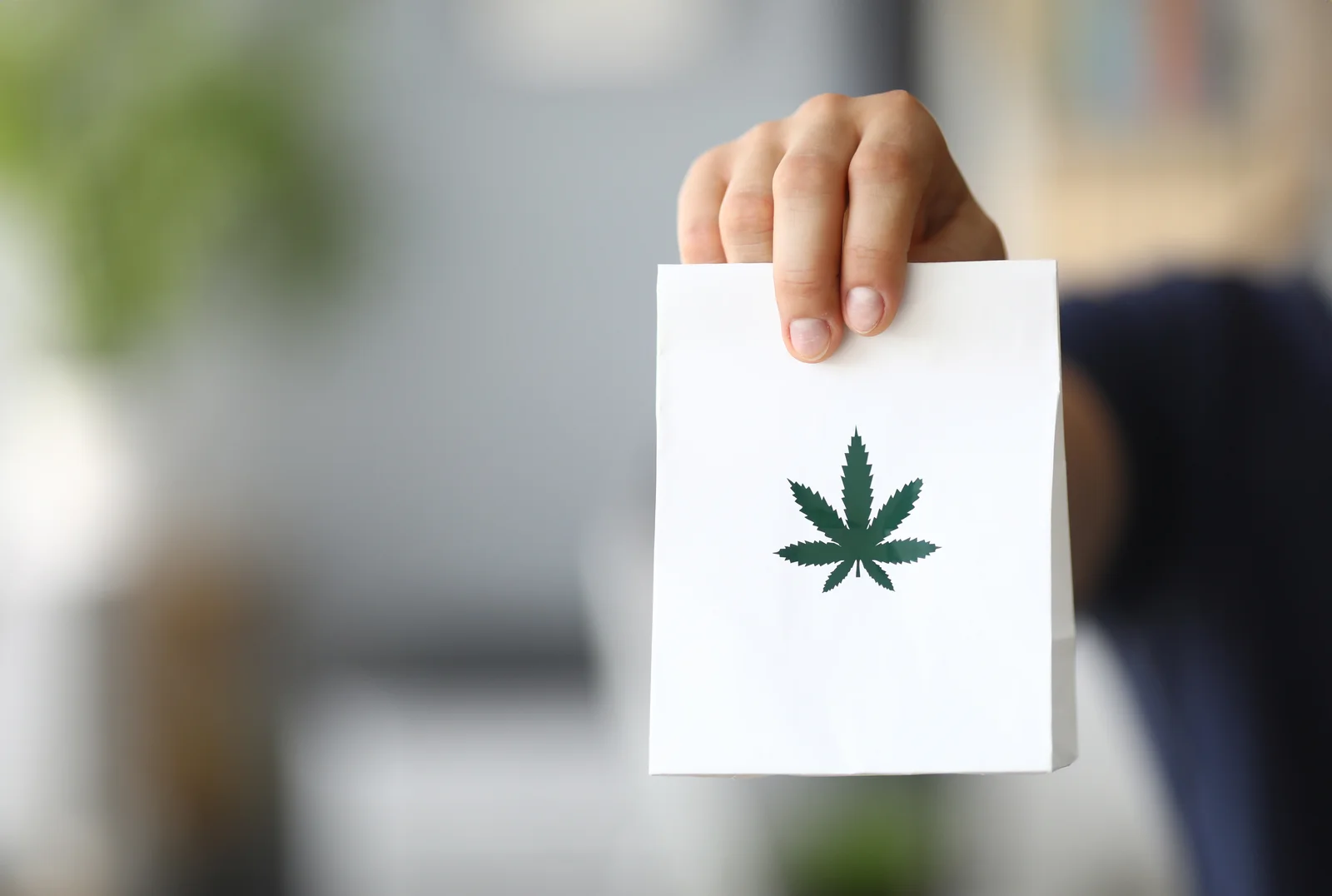 A hand holding a white package with a marijuana leaf symbol, representing medical cannabis products available after obtaining a cannabis license Florida.