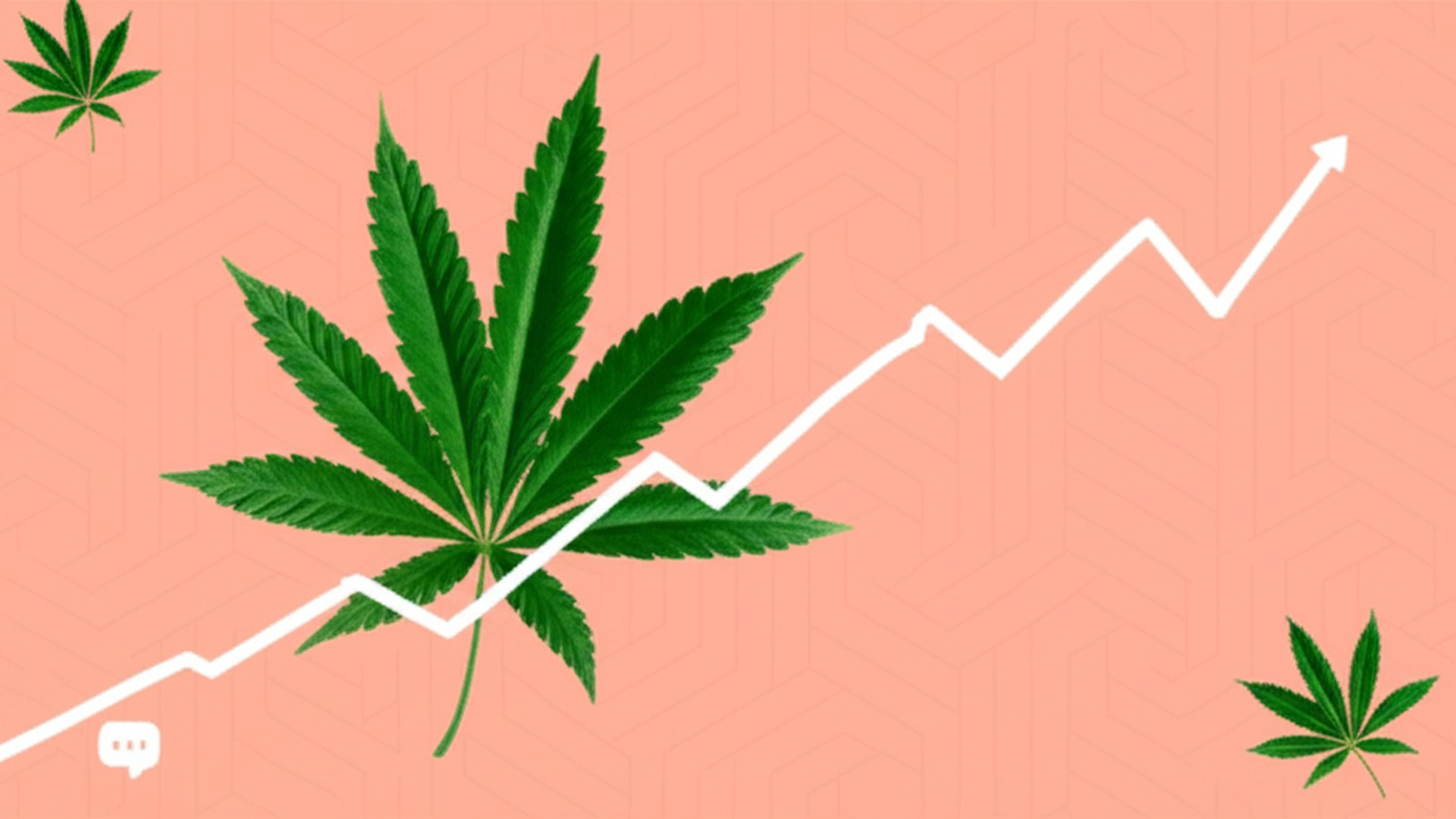 AI Report Builder - analytics charts and cannabis data visualization