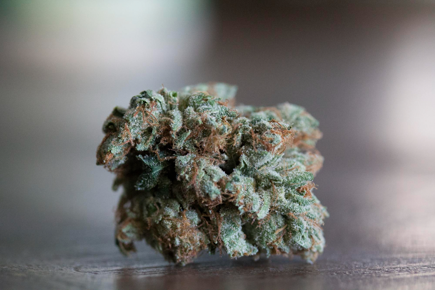Close-up cannabis flower with bud rot early signs, including dark patches, dull coloration, and potential mold risk.