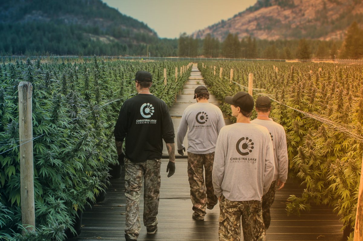 Christina Lake Cannabis case study - GrowerIQ seed-to-sale software