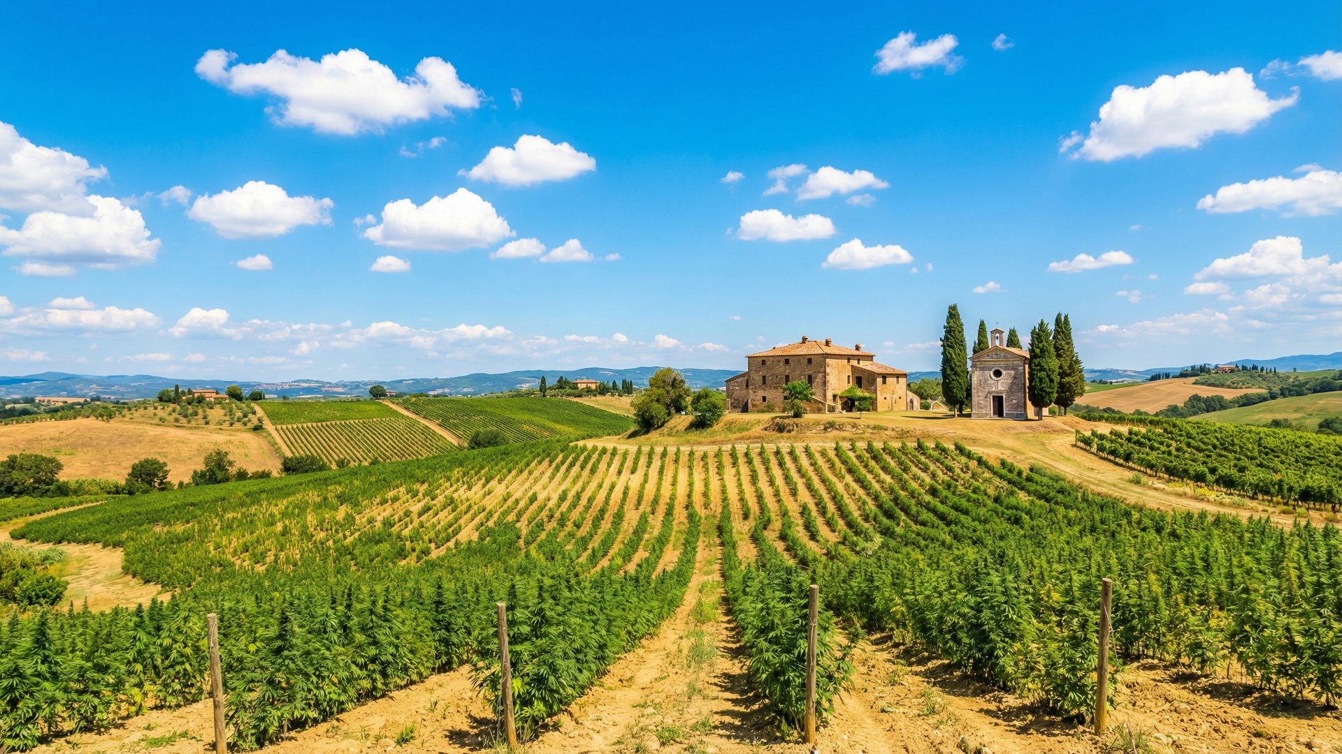 Industrial hemp Italy - GrowerIQ cultivation tracking