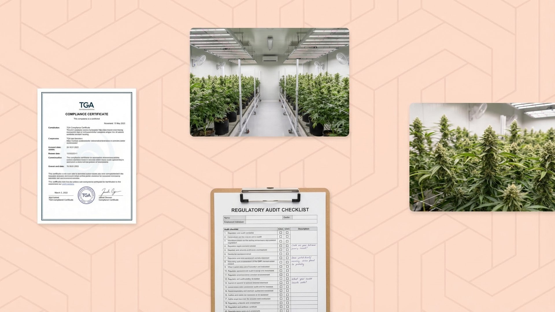 Australia medicinal cannabis production growth 41 tonnes 2024