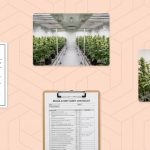 Australia TGA Cannabis Compliance 2025: New Rules for Producers