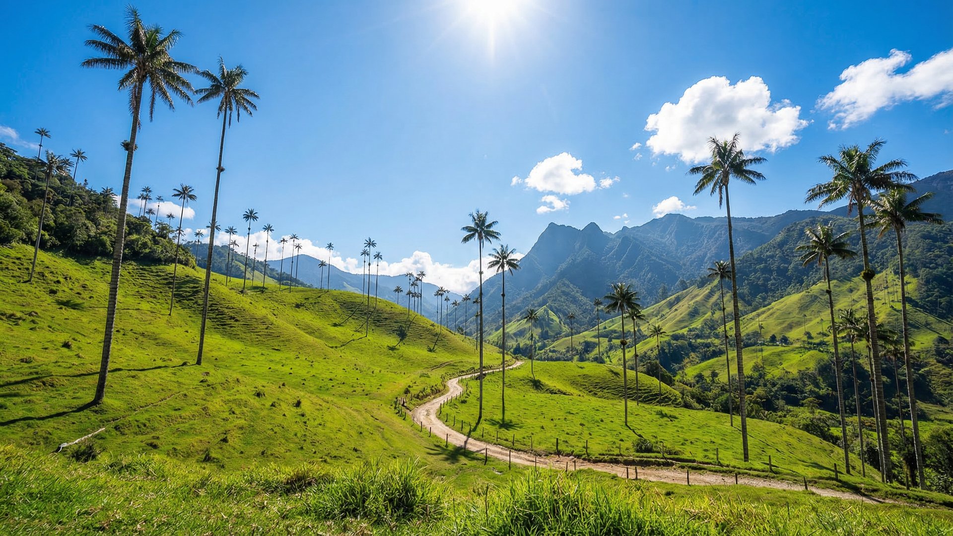 Colombia cannabis pharmacy sales Decree 1138 patient access