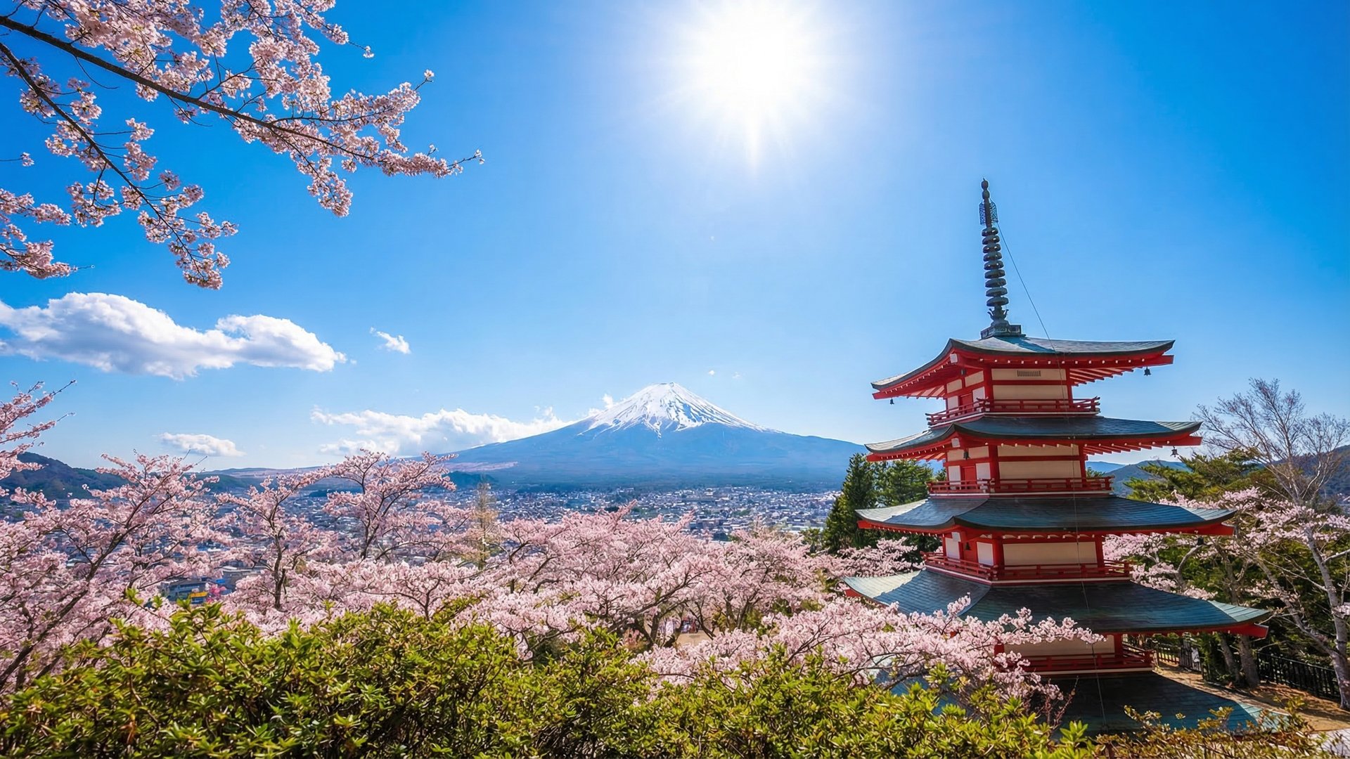 Japan cannabis law 2024 Cannabis Control Act amendment