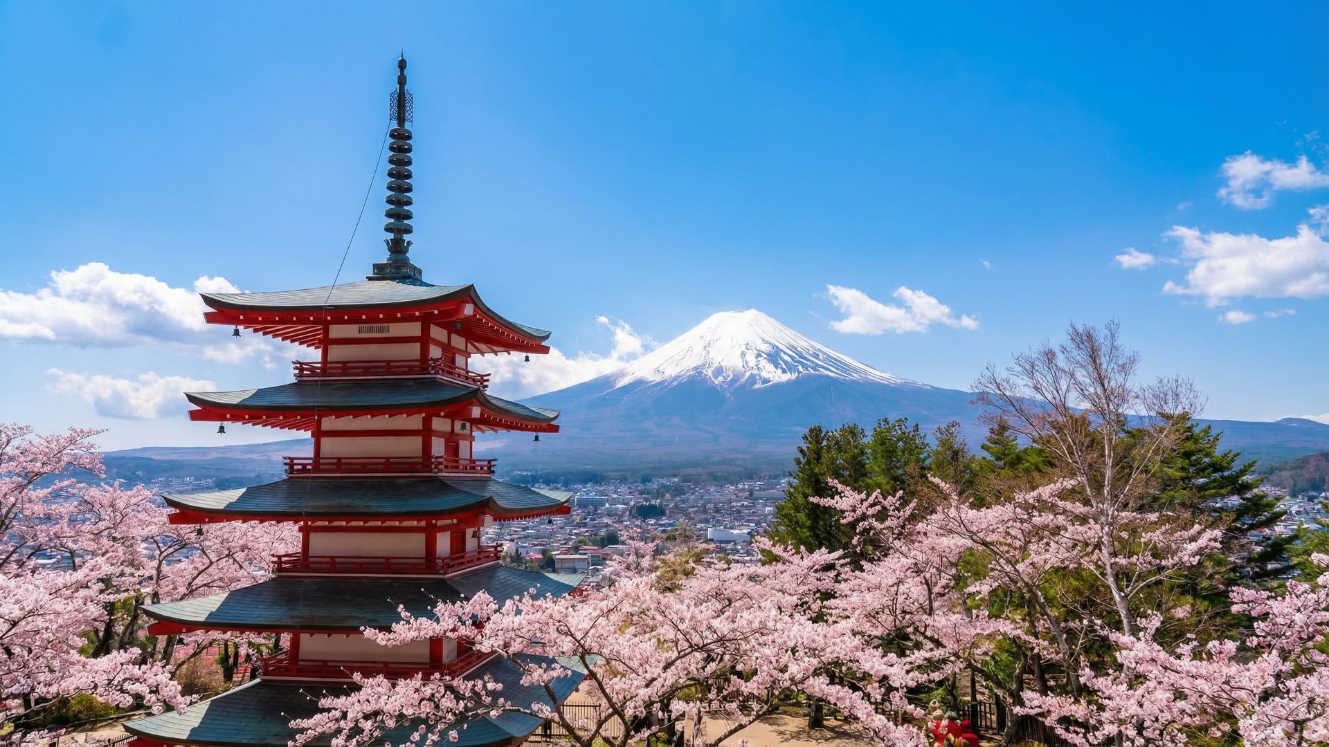 Japan medical cannabis access and CBD market 2024