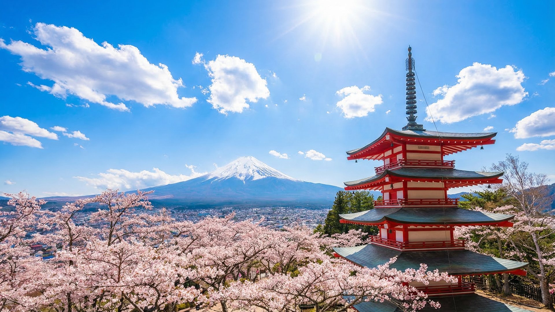 Japan cannabis law 2024 compliance guide