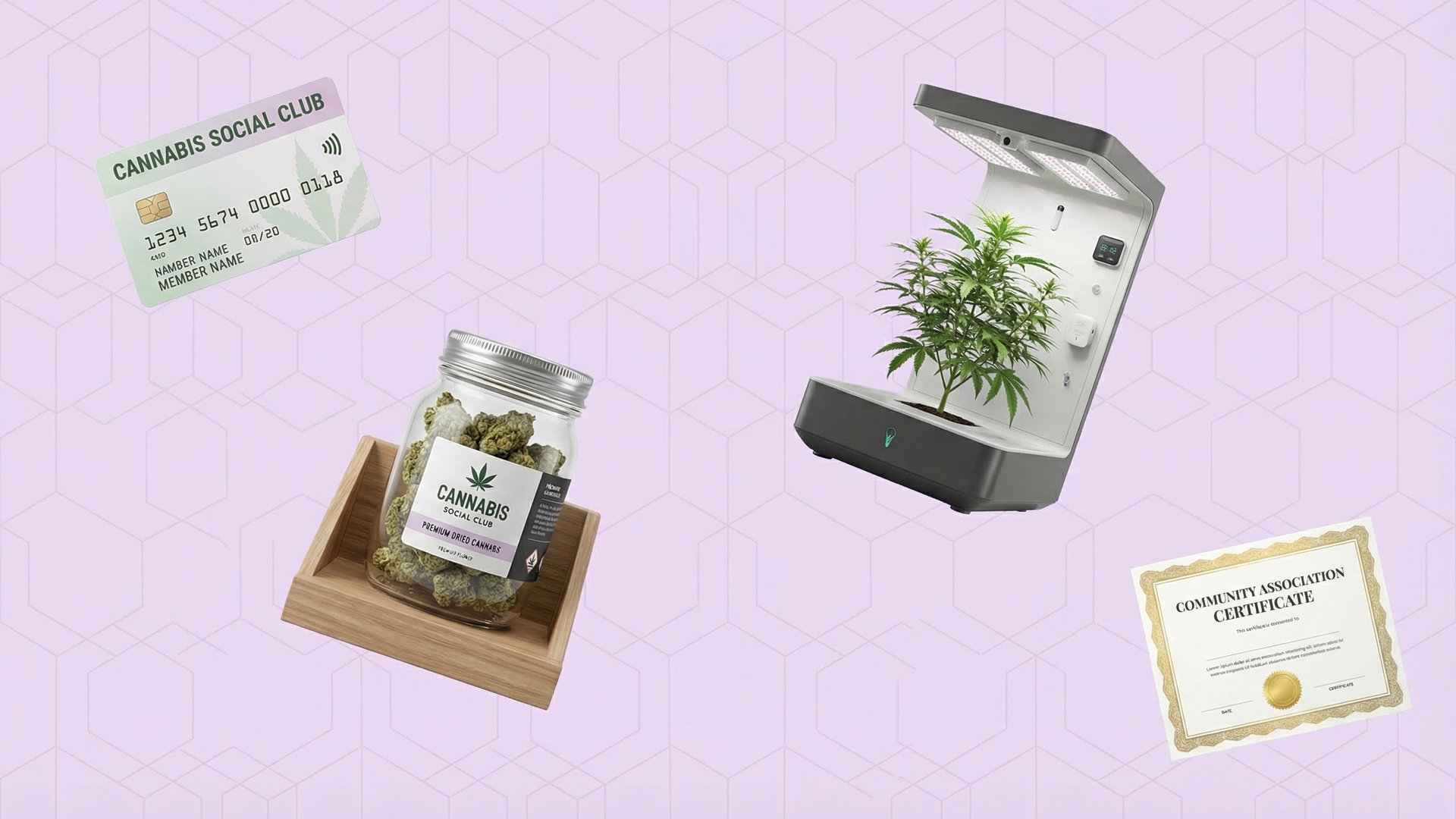 Malta cannabis clubs authority MCCAA registration Malta cannabis clubs authority MCCAA registration